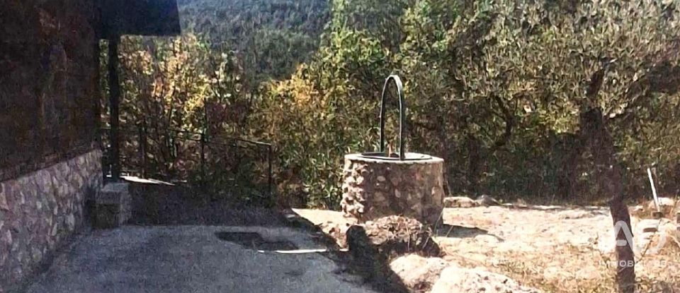 Land of 20,000 m² in Bussi sul Tirino (65022)