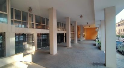 Negozio / locale commerciale di 420 m² in Ancona (60131)