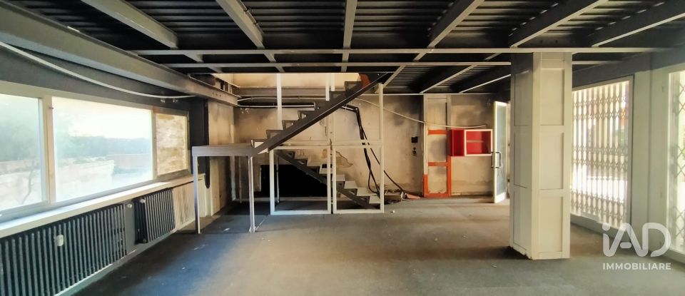 Shop / premises commercial of 420 m² in Ancona (60131)