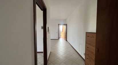 Trilocale di 100 m² a San Felice sul Panaro (41038)