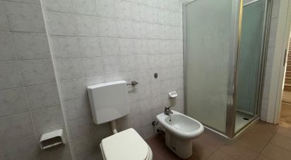 Bilocale di 60 m² a Mirandola (41037)