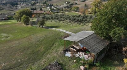 Casa indipendente 0 locali di 100 m² in Tolentino (62029)