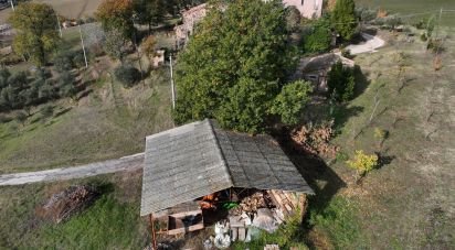 Casa indipendente 0 locali di 100 m² in Tolentino (62029)