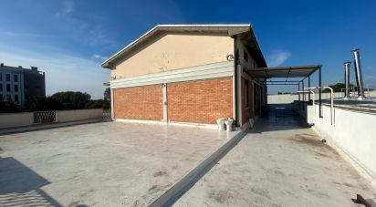Quadrilocale di 180 m² a Mirandola (41037)