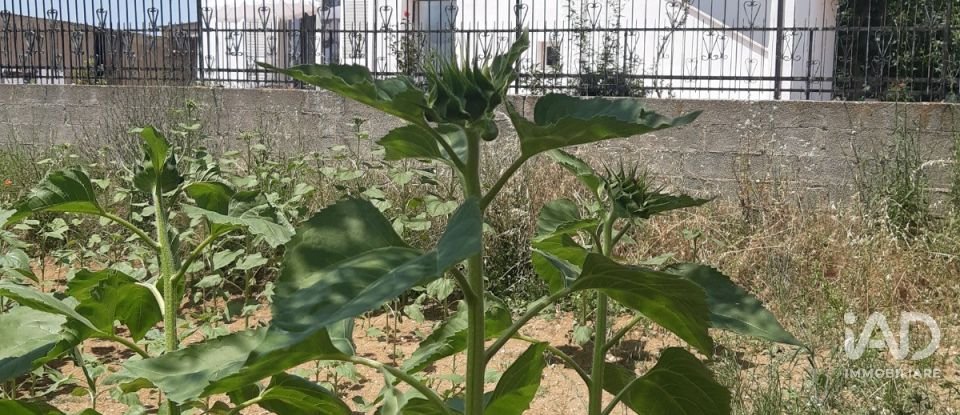 Townhouse 5 rooms of 245 m² in Mosciano Sant'Angelo (64023)