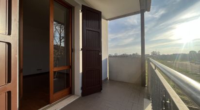 Trilocale di 100 m² a Mirandola (41037)