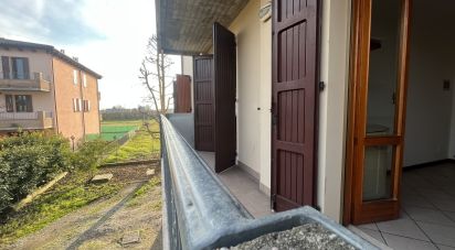 Trilocale di 100 m² a Mirandola (41037)