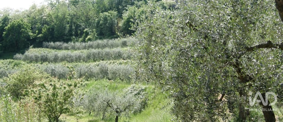 Casa indipendente / Villa 7 locali di 350 m² in Fano (61032)