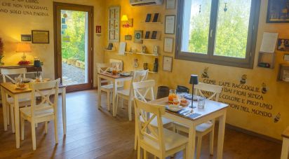 House 5 rooms of 260 m² in Seborga (18012)