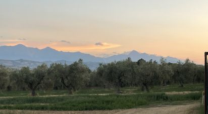 Varie superfici di 28.000 m² in Roseto degli Abruzzi (64026)