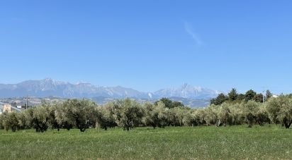 Varie superfici di 28.000 m² in Roseto degli Abruzzi (64026)