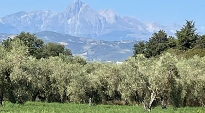 Other surface of 28,000 m² in Roseto degli Abruzzi (64026)