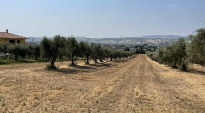 Other surface of 28,000 m² in Roseto degli Abruzzi (64026)