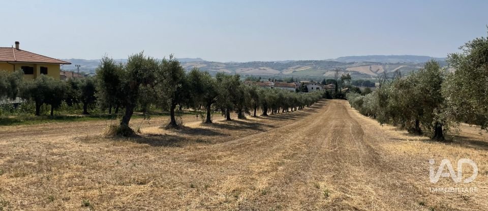Other surface of 28,000 m² in Roseto degli Abruzzi (64026)