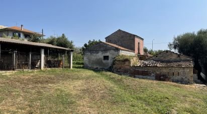 Varie superfici di 28.000 m² in Roseto degli Abruzzi (64026)