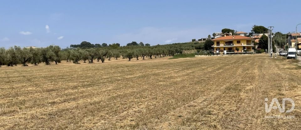 Other surface of 28,000 m² in Roseto degli Abruzzi (64026)