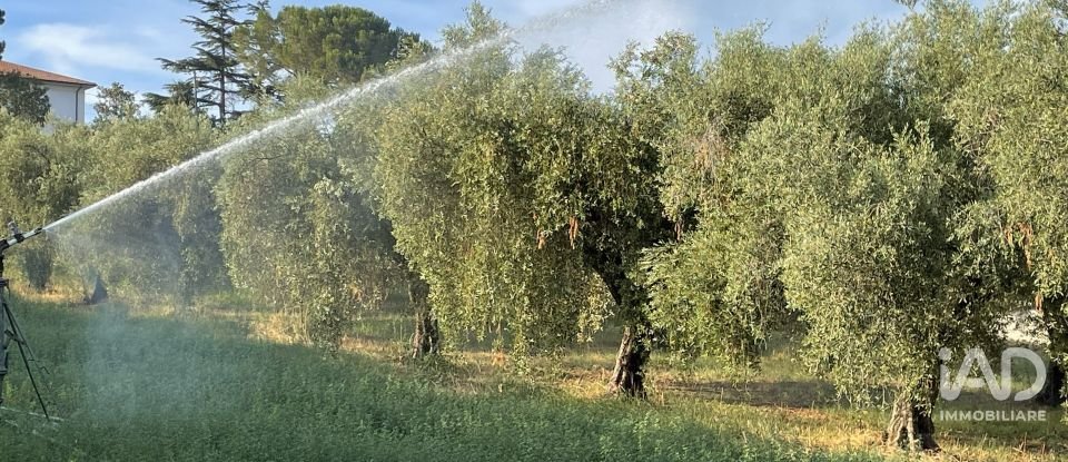 Other surface of 28,000 m² in Roseto degli Abruzzi (64026)