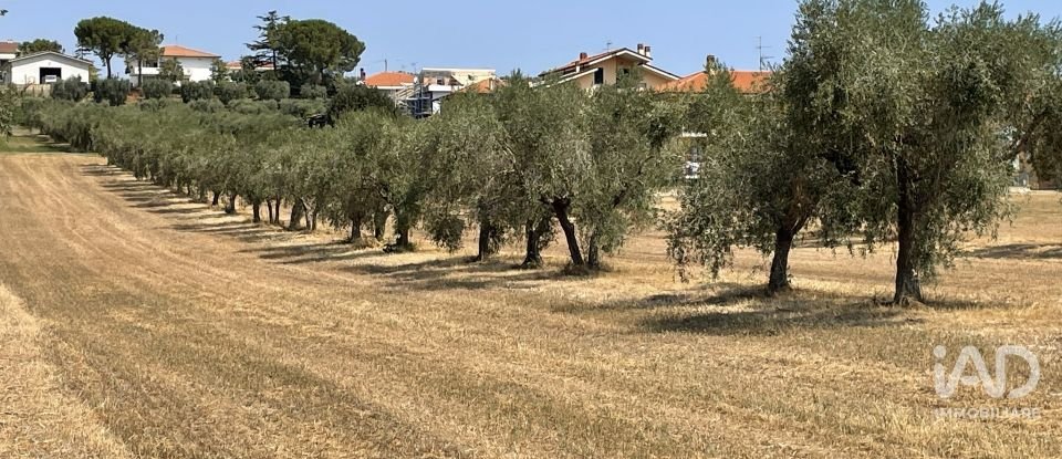 Other surface of 28,000 m² in Roseto degli Abruzzi (64026)